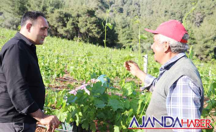 Başkan YILMAZ; "Doğayı ve çevreyi korumak, geleceğimizi korumaktır"