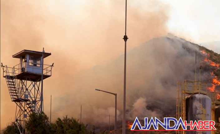 Milas'ta yangın termik santral sıçradı