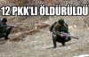12 PKK'lı öldürüldü 