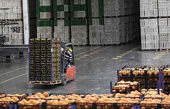 Limon İçin Belediyeler Sıraya Girdi