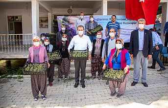 Büyükşehir'den Çiftçiye Lavanta Fidesi Desteği