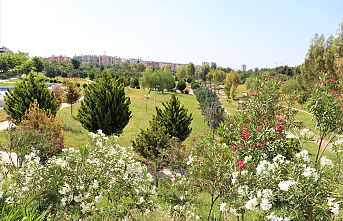 Toroslar çiçek açtı