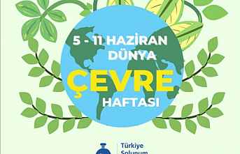 Ekolojik tahribat sürerse