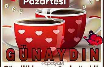 Sözün Özü