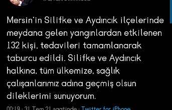 Mersin'de yangınlardan etkilenen 132