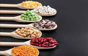 Mersin Ticaret Borsası Tohumculuk A.Ş