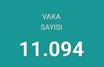 Rekor artış: 11 bin yeni vakamız var