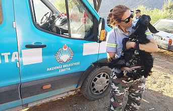 Akdeniz Belediyesi, yardıma koştu