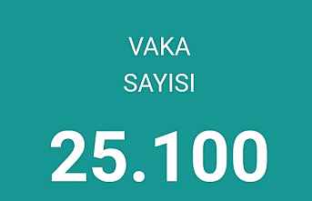 Bugünkü can 112  Vaka sayısı 25.100