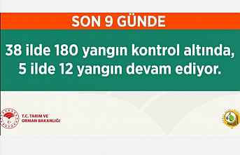 Orman Yangınlarında son Detay Durumu