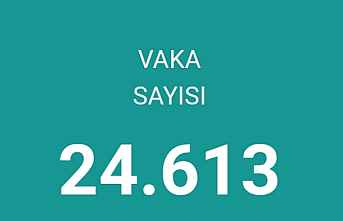 Vaka sayısının artış dikkat çekiyor