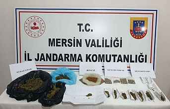 Mersin’de torbacı operasyonu