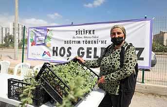 Silifkeli 63 Üreticiye Alıç Fidanı, 47 Üreticiye...
