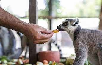 Tarsus Doğa Parkı, 23 Nisan’da Çocuklara Ücretsiz...