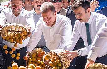 Seçer, ‘60. Mut Karacaoğlan Kayısı Kültür...