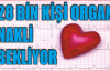 28 BİN KİŞİ ORGAN NAKLİ BEKLİYOR 