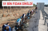 51 Bin Fidan Dikildi