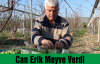 Can Erik Meyve Verdi