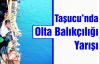 Çevre etkinlikleri