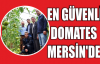  EN GÜVENLİ DOMATES MERSİN'DE