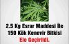 Jandarmadan Uyuşturucu Operasyonu