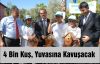 Kuşlar için Yuva Dağıtıldı