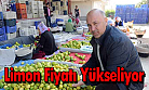 Limonun Fiyatı Yeniden Tırmanıyor