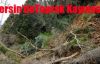 Mersin'de Toprak Kayması