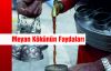 Meyan Kökü Her Derde Deva