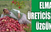 MUT’TA ELMA ÜRETİCİSİ ÜZGÜN 
