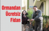 Ormandan Ücretsiz Fidan
