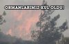 Ormanlarımız kül oldu