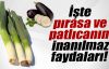 Patlıcan kanserden, pırasa felçten koruyor