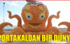 PORTAKAL'DAN BİR DÜNYA