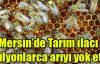 Tarım ilacı milyonlarca arıyı yok etti